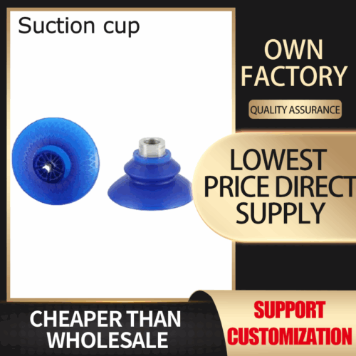 Suction cup